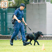 海關學院開放日將有搜查犬示範。