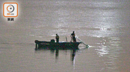 本年五月，多艘漁船從深圳駛至本港后海灣水域。