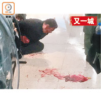 被制服的示威者血流披面，地上留下一攤鮮血。（馮子健攝）