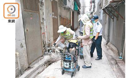 港府過去十一年耗資近十七億元公帑防治鼠患，至今卻鼠患不斷。