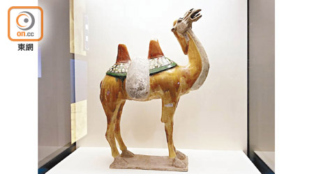 三彩駱駝陶瓷透過加固及修復填色，還原文物風采。