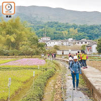 黃進達料在獲得資助下的綠色本地遊團團費會在一百元內。