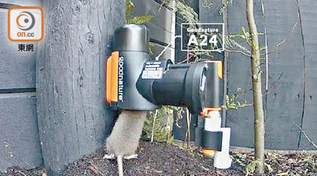 食環署已停用滅鼠器，令十五部、每部價值二千多元的氣壓滅鼠器淪為廢物。