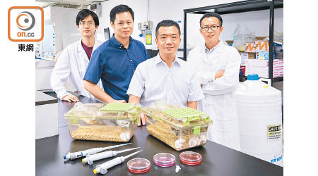 朱光宇（右二）研發新的抗癌療法。