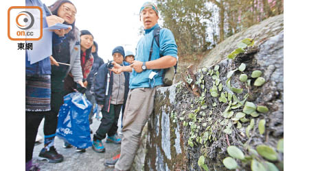 Smith（右一）帶同數十名參加者到山頂盧吉道探索蕨類。