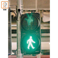 機電署計劃在各區路邊交通燈控制器加裝保護殼，及在燈頭加裝保護網。