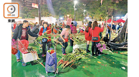 惜花之人檢拾地面的劍蘭。（李國健攝）