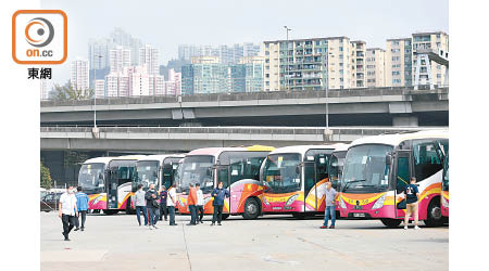 運輸署撥出一幅用地，予業界臨時泊車。（羅錦鴻攝）