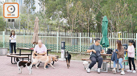 在新冠肺炎疫情下，將軍澳的寵物公園仍有不少狗主帶狗隻散步。