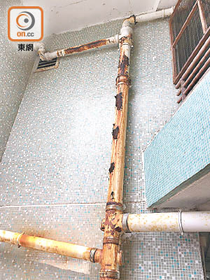大廈內排水管及通風喉嚴重生銹。