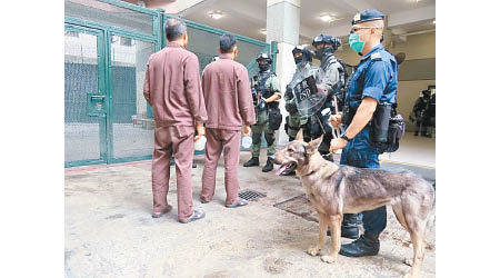 懲教署出動區域應變隊及警衞犬隊等在大欖懲教所平亂。