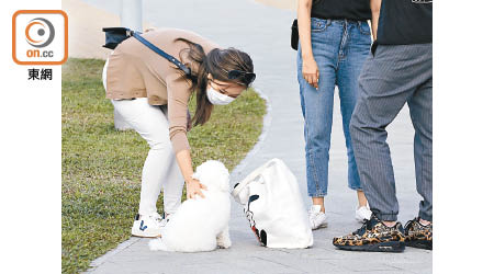 香港早前爆發全球首宗寵物感染新冠肺炎病毒的個案，寵物主人應注意衞生。