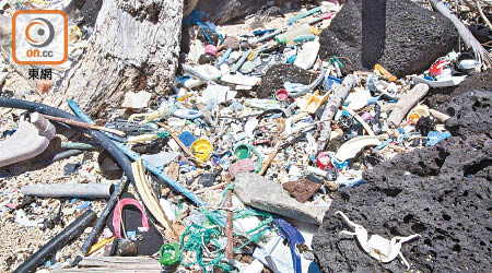 每年有大量塑膠流入大海，造成海洋污染。