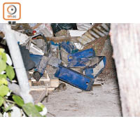 元朗：有至少三隻老鼠在垃圾及建築廢料之間游走。