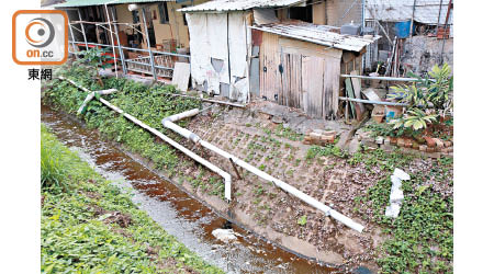 大埔泮涌新村：村內一條引水道旁駁滿由寮屋延伸而出的污水管，不時有排泄物隨水管排出。
