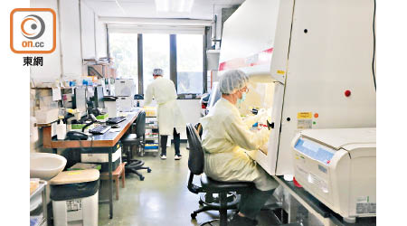 威院微生物科病毒化驗室每日可檢測逾三百樣本。（陳德賢攝）