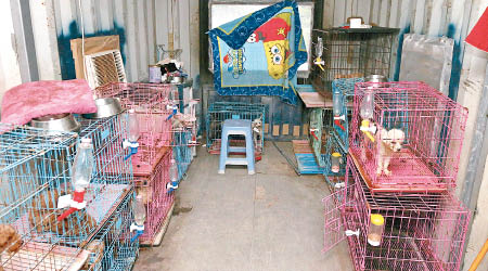 大部分狗隻被困在空氣不流通的貨櫃內。