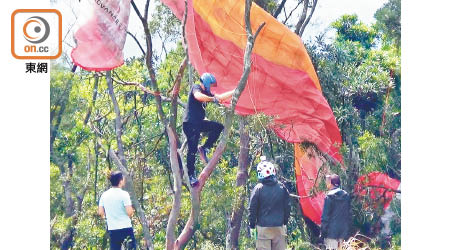 昂平營地：滑翔傘器材卡在樹上，有人爬上樹後鋸斷樹枝試圖取傘。