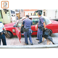 警犬搜索的士車廂。（郭垂垂攝）