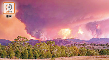乾旱和破紀錄的高溫導致澳洲出現災難性山火。