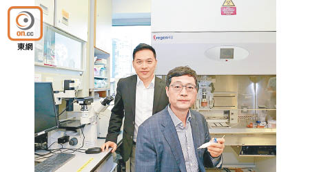 由呂維加（前）及楊偉國（後）領導的團隊，獲得逾三千萬港元研究3D打印人體組織及器官。（港大提供）