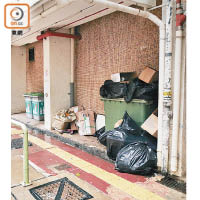 大型垃圾箱及滿溢的家居垃圾被迫堆放在邨內多幢大廈外。
