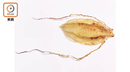 加灣石首魚花膠特徵是有兩條長鬚。（葉子健攝）