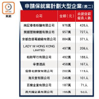 申請保就業計劃大型企業（表二）