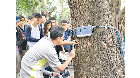 政府早前建議設立城市林務發展基金，提升樹藝及園藝從業員專業水平。