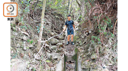 飛鵝山：前往飛鵝山行山的林先生示範繩索的穩固程度，險些跌倒。