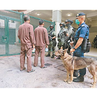 有「懲教飛虎隊」之稱的區域應變隊今起會進駐荔枝角收押所戒備，防止騷亂事件發生。