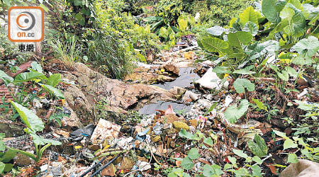 村內小溪堆滿垃圾，如食物殘渣、英泥等，駁滿由寮屋延伸的污水管。
