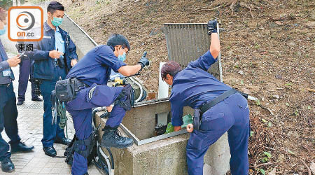 愛協共接收了十五隻生還動物。