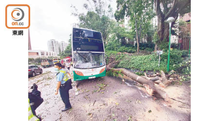 十米高大樹倒塌，壓毀新巴車頭，警員封鎖現場調查。（張開裕攝）
