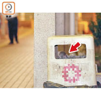 頌安邨：街市外的行人路上有老鼠（箭嘴示）跳入垃圾桶覓食。