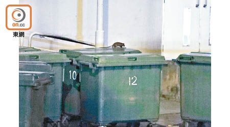 九龍灣：機電署總部大樓有老鼠出沒。