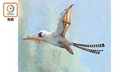 港大發現擁有翼膜的擅攀鳥龍類只可作有限度滑翔。