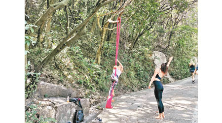 有人自備布帶纏樹，於行山徑進行空中瑜伽。