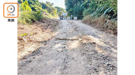 違建道路依然鋪有石屎，地政總署稱將會噴草作修復。