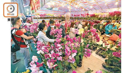 農曆新年年宵市場將集中銷售年花。