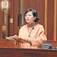 議員麥美娟指眾籌活動絕對會縱容黑暴勢力，促政府應加強規管。