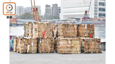 現時每月全港廢紙量約4萬噸，接近97％出口至中國。（李志湧攝）
