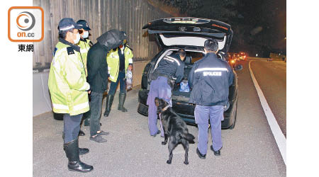警員押同疑犯搜車，緝毒犬到場協助搜證。（楊日權攝）