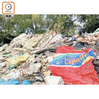 東南亞成為發達國家的垃圾場。