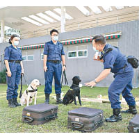 領犬訓練課程會訓練人員領犬技巧和毒品知識。