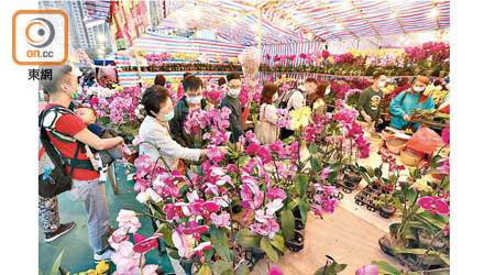 當局公布取消今年農曆年宵市場及沙田車公誕新春市場。