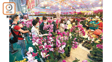 農曆年宵市場告吹，多個投得攤位的花農血本無歸。
