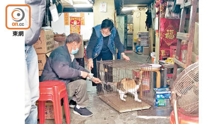 花貓與主人團聚。（趙瑞麟攝）