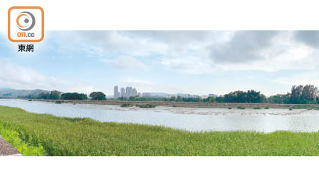 拉姆薩爾濕地是元朗盆地內一個天然淺水河口濕地。