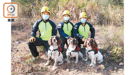 搜救犬隊由3名領犬員及3隻搜救犬組成。（袁志豪攝）